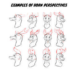 EXAMPLES OF HORN PERSPECTIVES