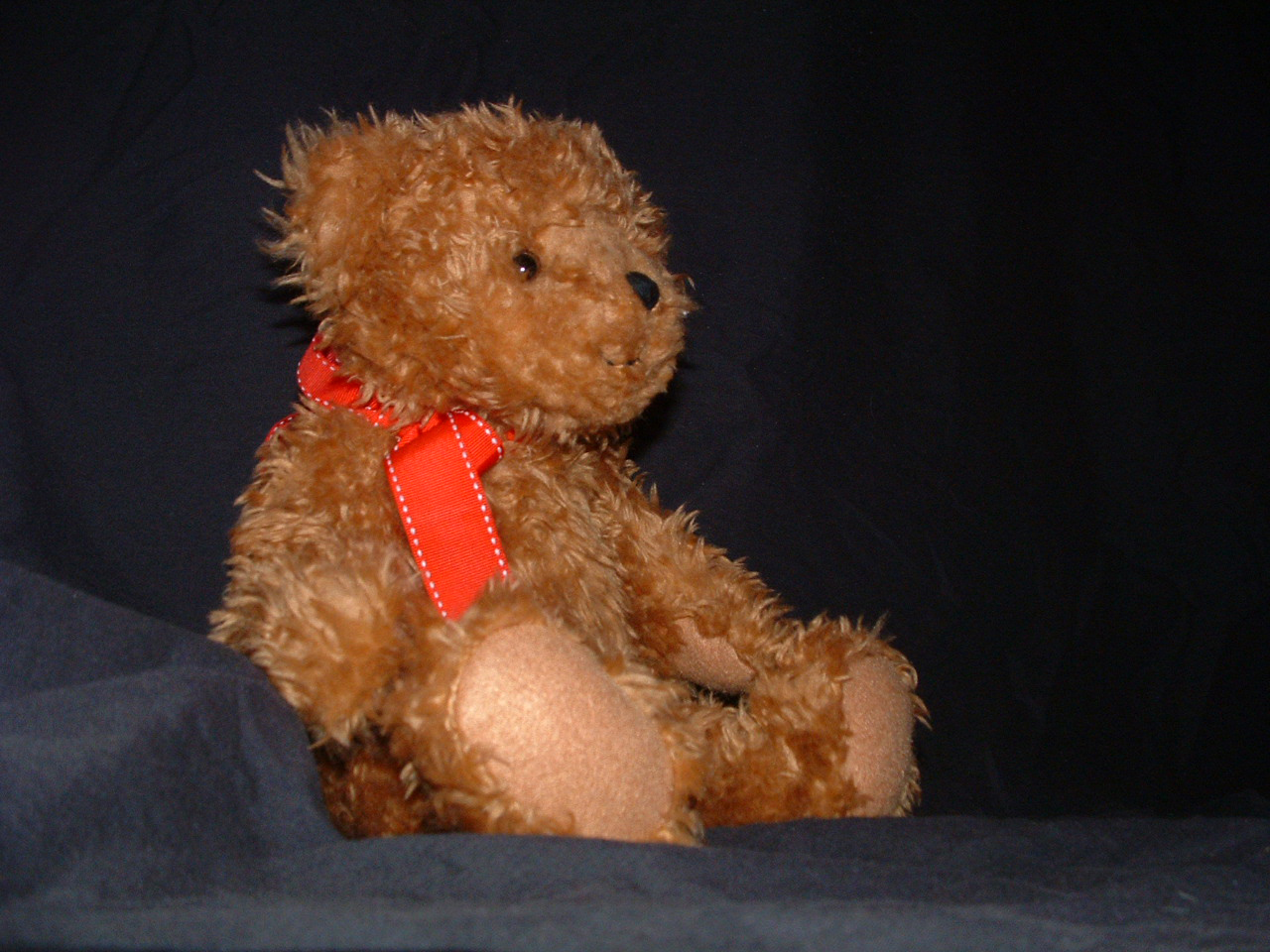 Teddy Bear 1