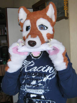 Fursuit One