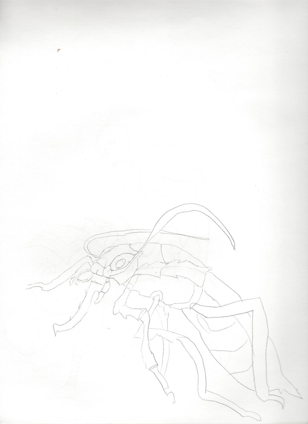 Cockroach Lineart by jnekomimi on DeviantArt