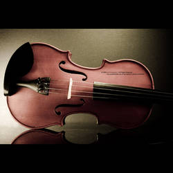 Violin