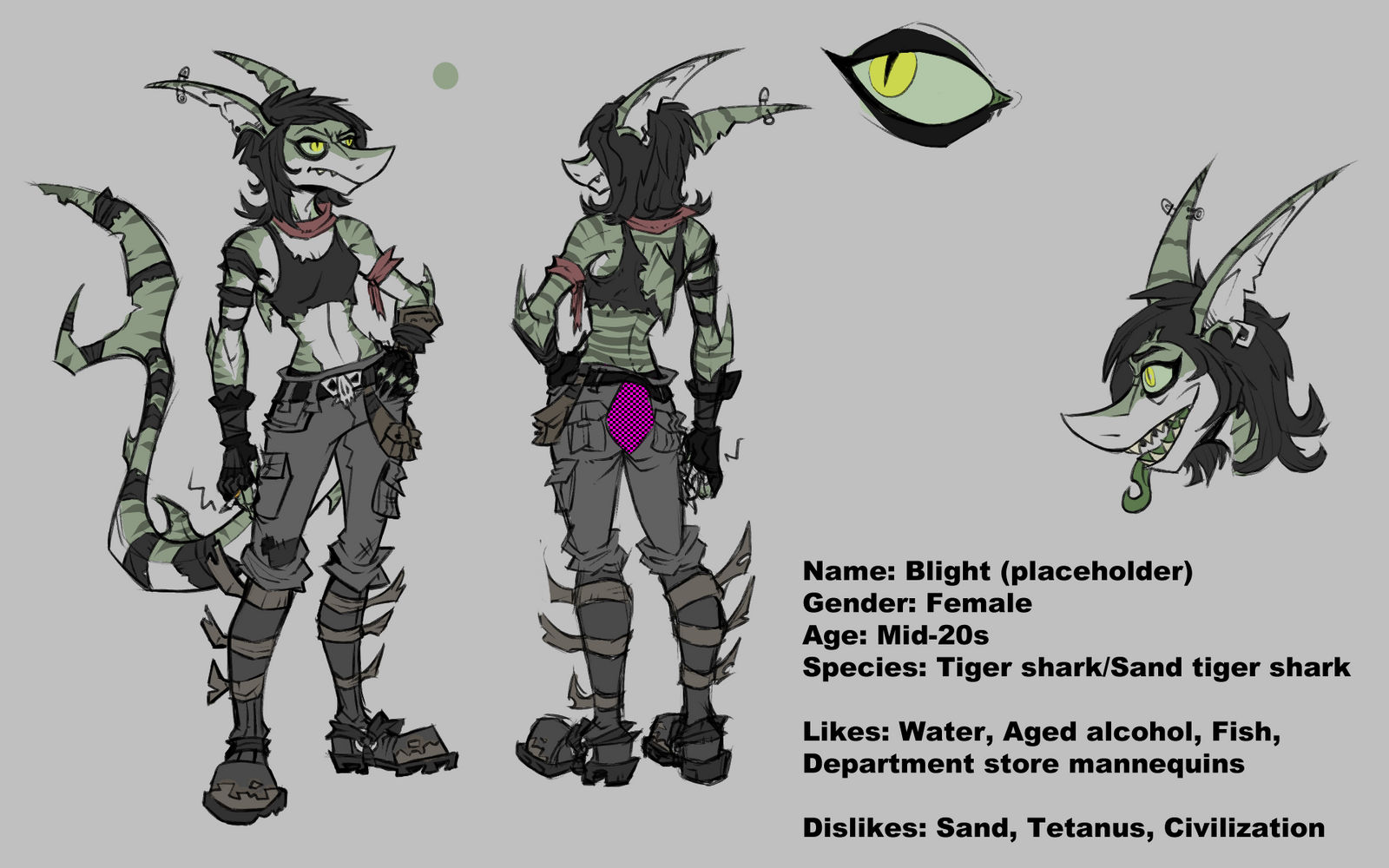 Shark Ref by GreaseSponge on DeviantArt