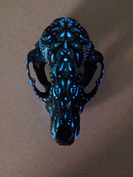 Glow-in-the-dark raccoon skull