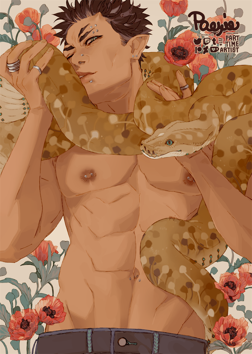 Poppy Python