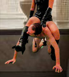 Love and licking boots