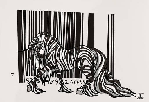 Zebra Code