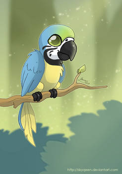 Cute Macaw