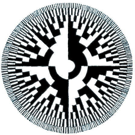 Radial Checkerboard by Cankanorey on DeviantArt