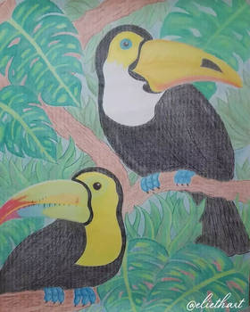 Toucans