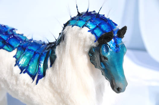 Sea Horse detail