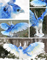 Ice Phoenix