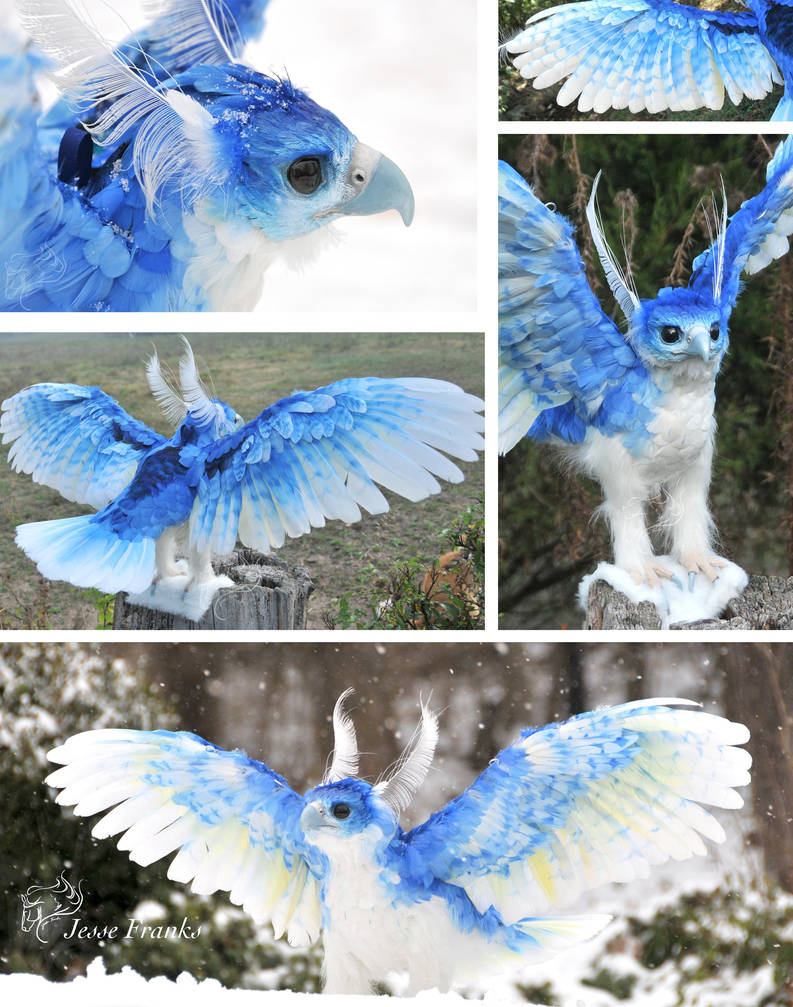 Ice Phoenix by mooki003 on DeviantArt