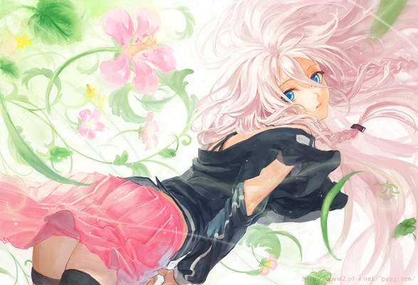 IA