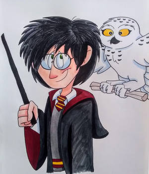 Harry Potter And Hedwig