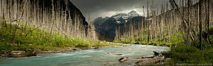 Tokkum Creek - Kootenay N.P