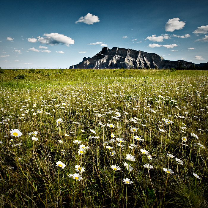 Mt Rundle