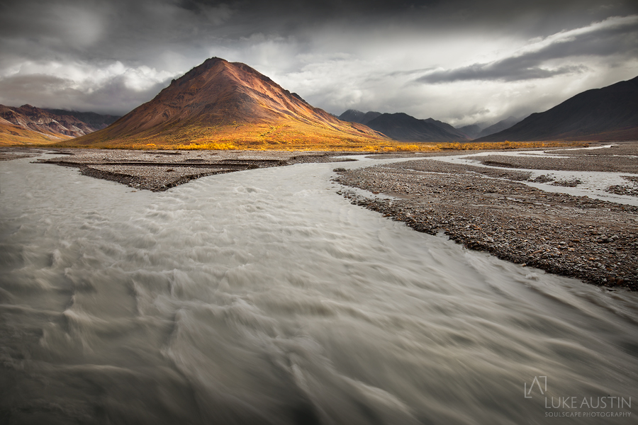 Toklat - Denali N.P Alaska by LukeAustin Toklat - Denali N.P Alaska by LukeAustin
