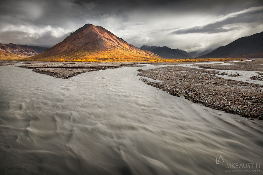 Toklat - Denali N.P Alaska