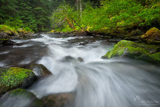 Sol Duc Valley