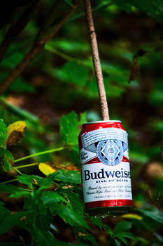 Budweiser On A Stick