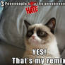 Grumpy Cat sings 'People help the people' by Birdy