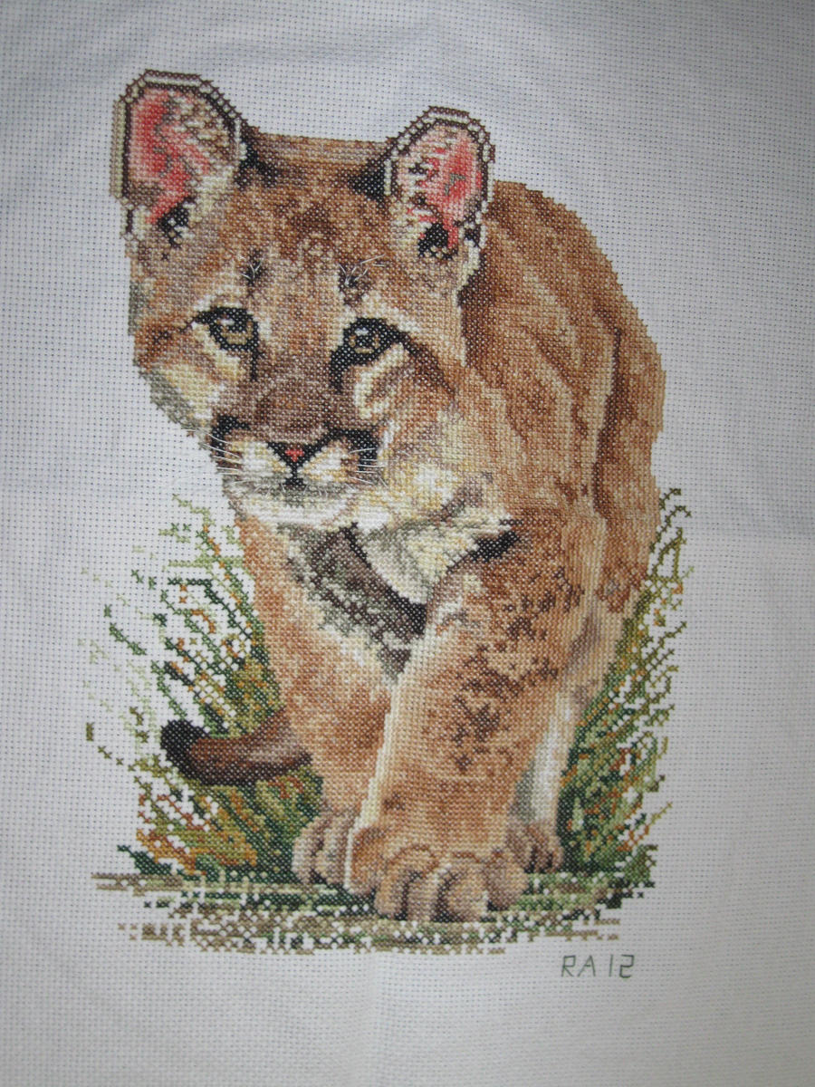 Puma (Finished)