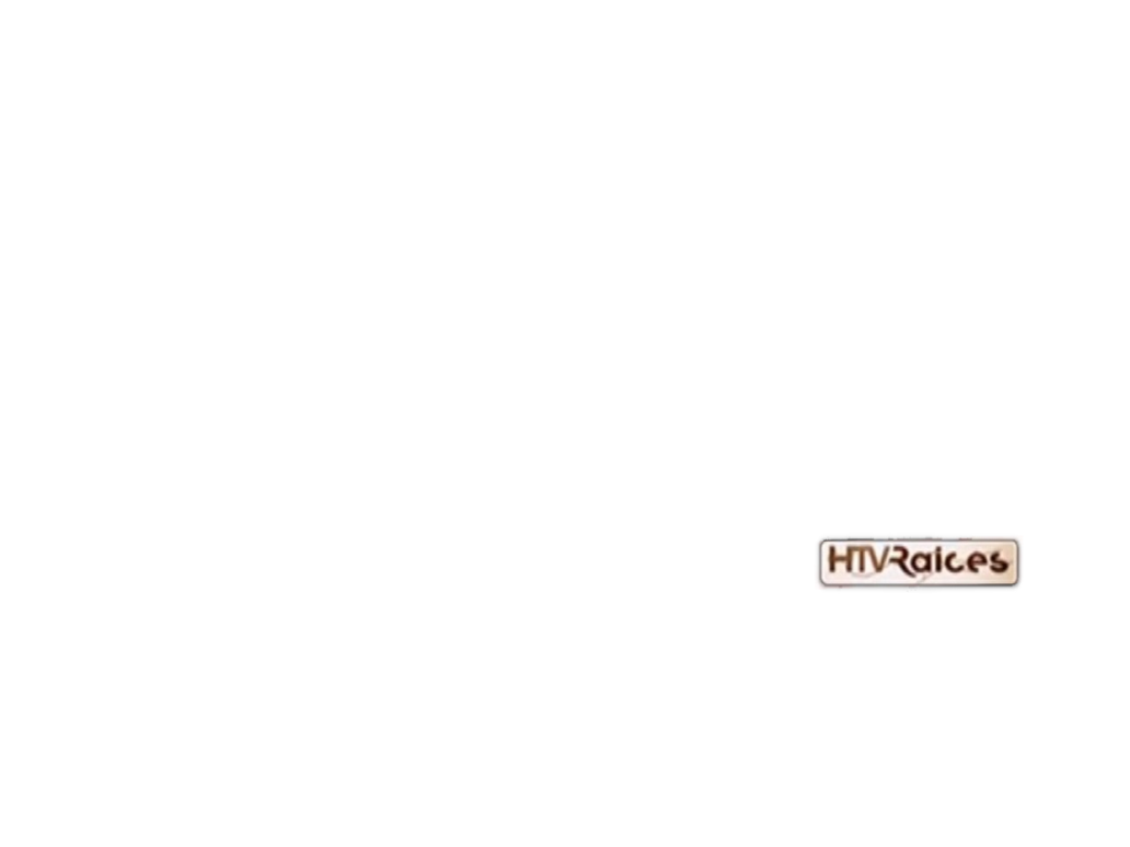 HTV Raices - Logo En Pantalla (2009-2018) by HTVPng on DeviantArt