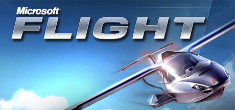 Steam Grid View: Microsoft Flight (1) by JoeRockEHF