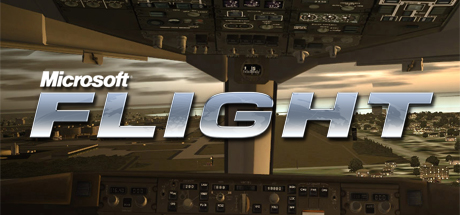 Steam Grid View: Microsoft Flight (2) by JoeRockEHF