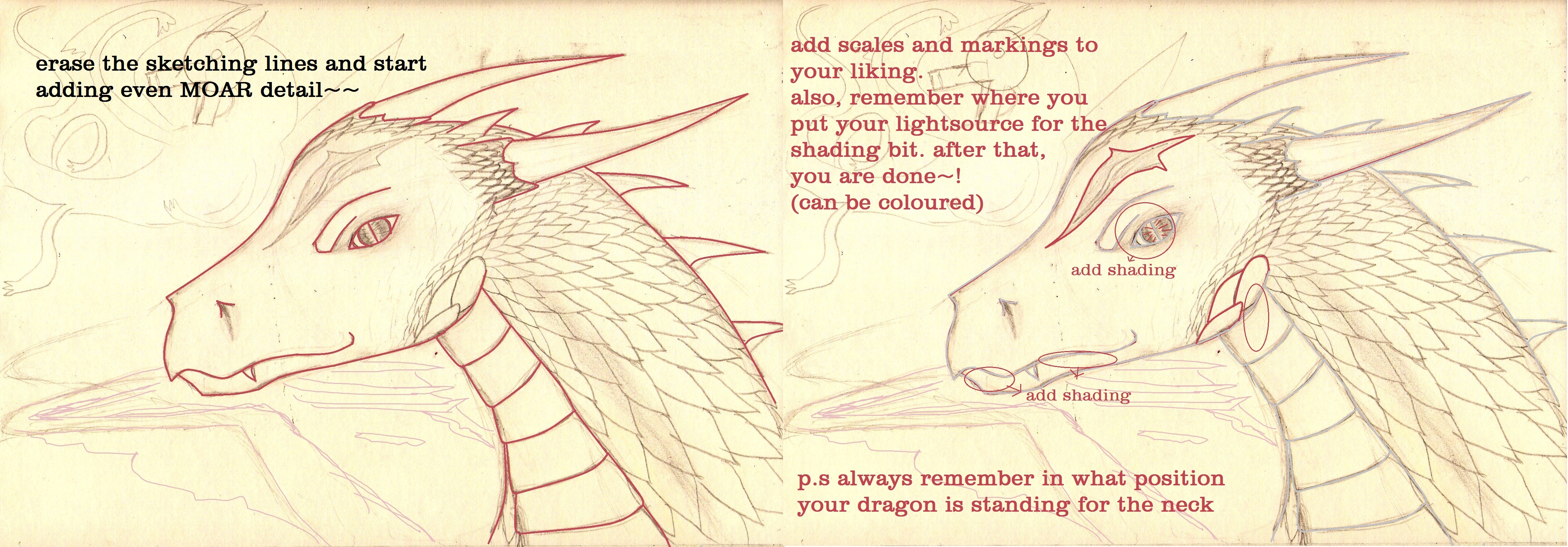 Dragon Head Tutorial Step 3 And 4