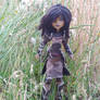 Custom Doll - Warden from Dragon Age Origins