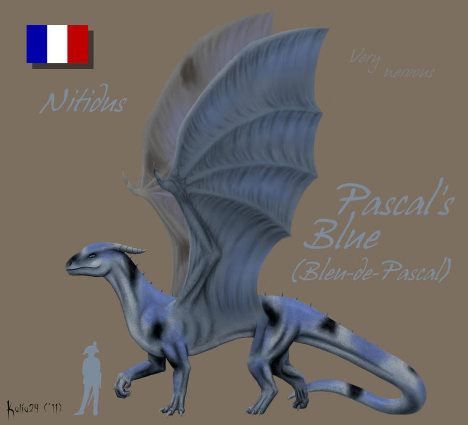 Fuzzy Pascal Blue Pascal's Blue by Kalia24 on DeviantArt