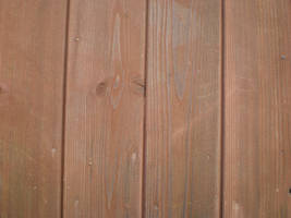 Wood texture