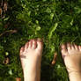 Feet in grass