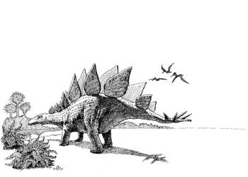 Stegosaurus