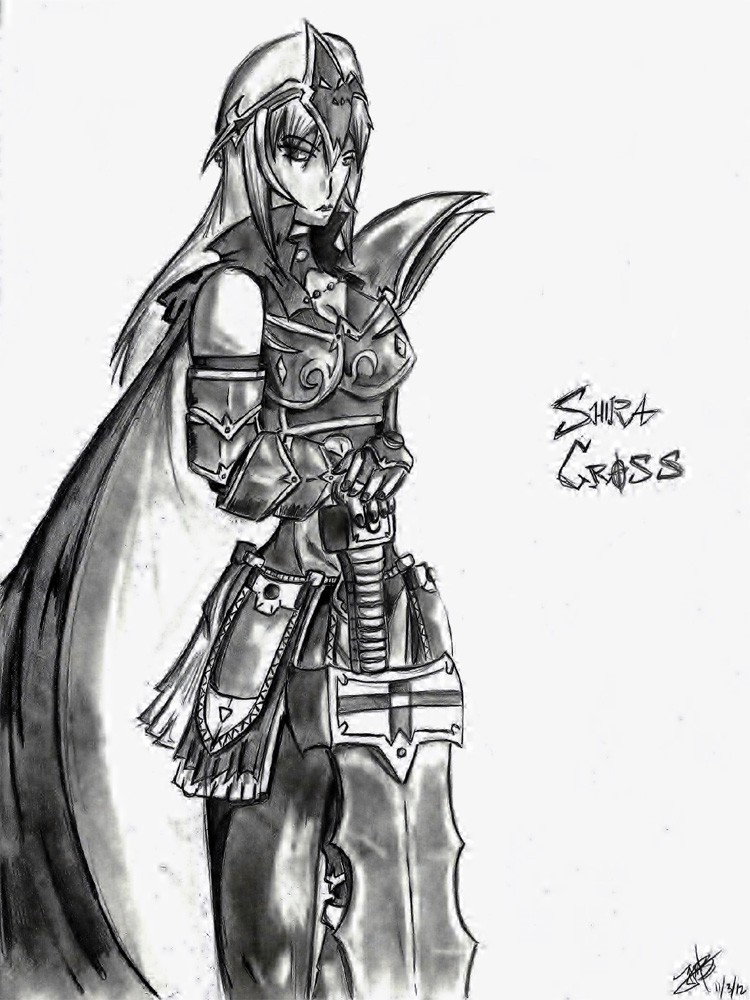 The Dark Paladin - Shira Cross