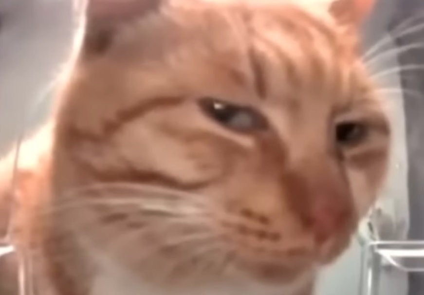 side eye bandicam 2024-12-26 20-17-38-766 (1) - Co