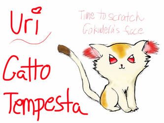 Gatto Tempesta