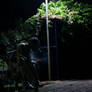 Alone in The Night 1