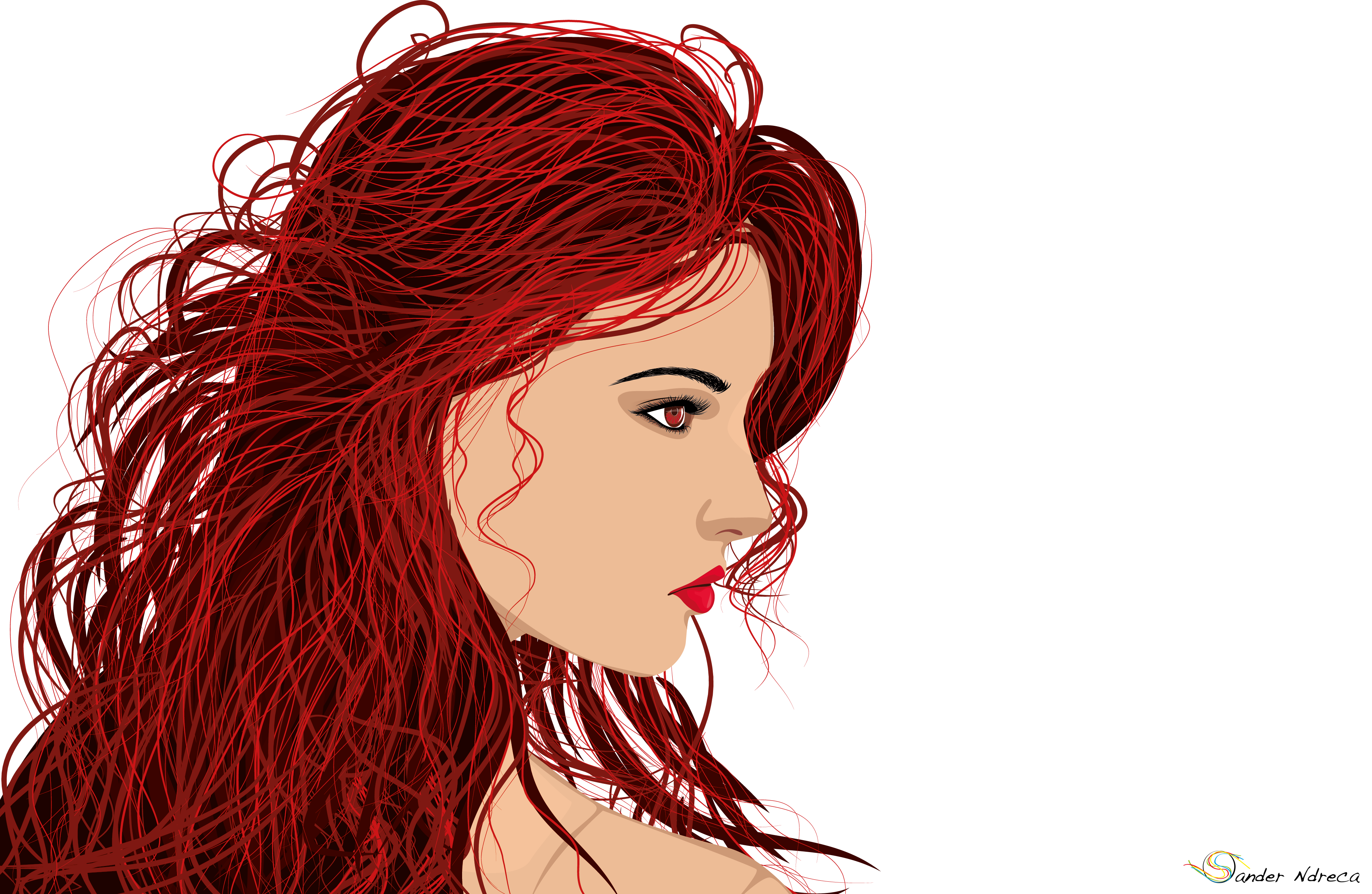 The Red Hair 1