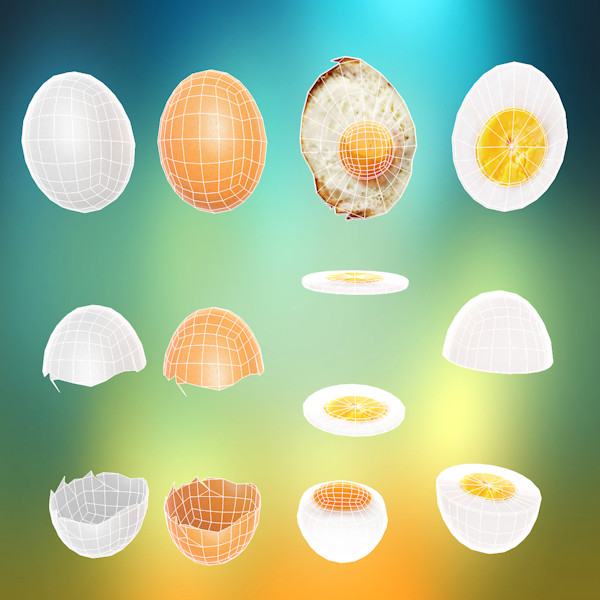 Egg in all its forms