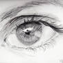 2013.06.14 Eye Study