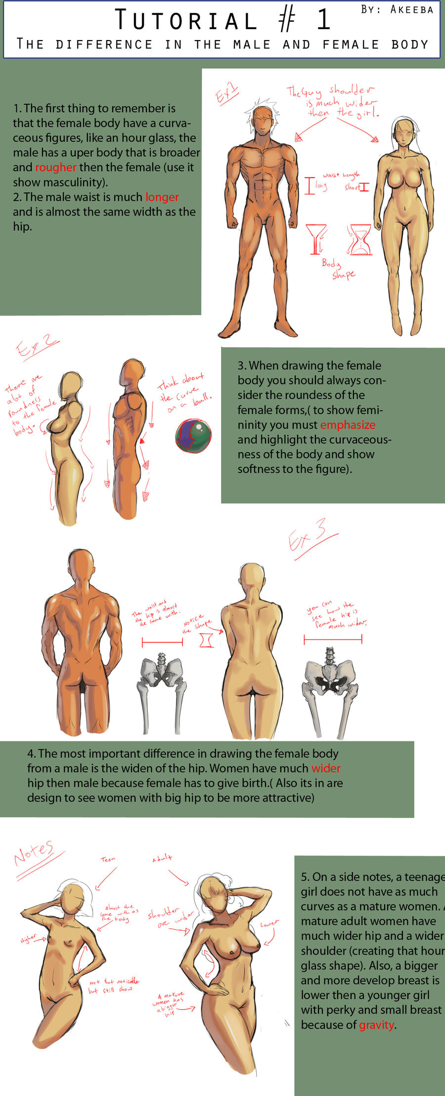 Body Figures Tutorial: Male and Female