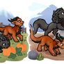 Taming Pumpkin