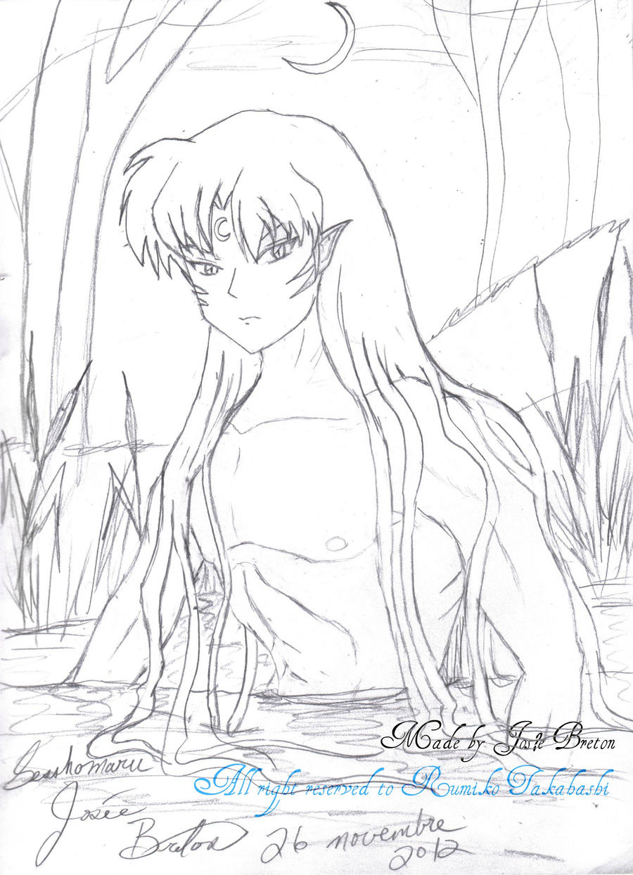 Sesshomaru take a midnight bath on a river