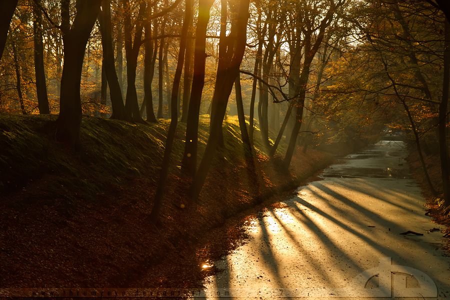 Autumn Mood