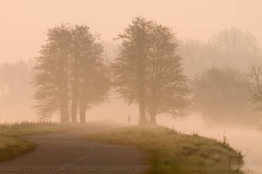 The Lonely Biker