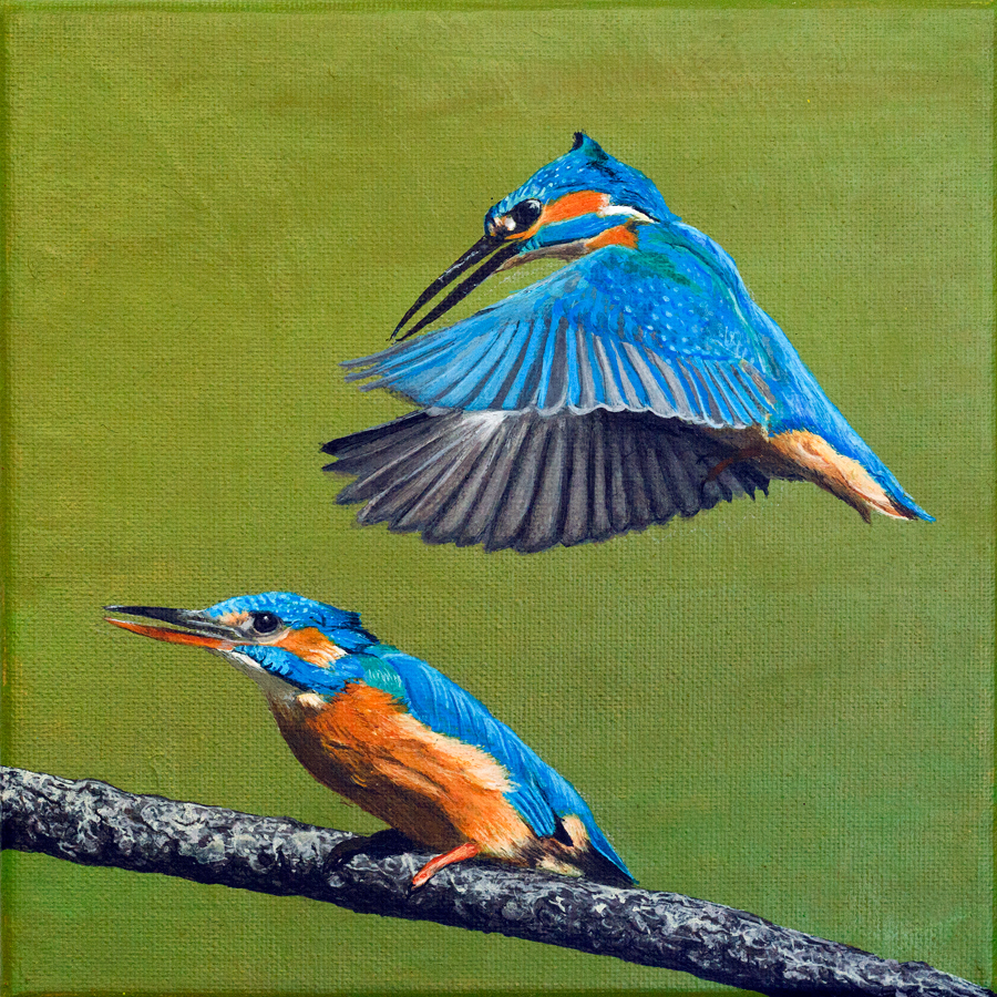 Kingfisher Painting