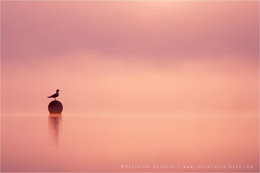Empty Spaces by thrumyeye