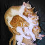 Happy World Animal Day